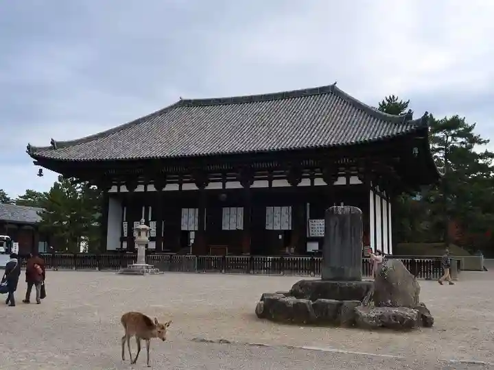 興福寺の本殿・本堂