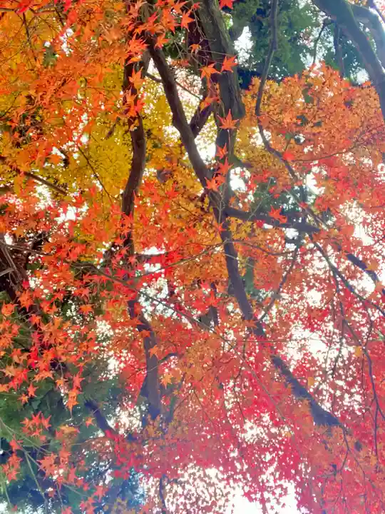 月橋院(京都府)