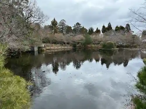 龍安寺の{uncategorized: "未分類", other: "その他", undefined: "問題あり", building: "その他建物", grave: "お墓", sacred_gate: "鳥居", guardian: "狛犬", statue: "像", buddha: "仏像", history: "歴史", nature: "自然", garden: "庭園", animal: "動物", pagoda: "塔", temizu: "手水舎", mountain_gate: "山門・神門", sanctuary: "本殿・本堂", subordinate: "末社・摂社", art: "芸術", scenery: "景色", jizo: "地蔵", ema: "絵馬", goshuin: "御朱印", omikuji: "おみくじ", items: "授与品その他", amulet: "お守り", goshuincho: "御朱印帳", eats: "食事", festival: "お祭り", votive_dance: "神楽", shichigosan: "七五三参", wedding: "結婚式", experience: "体験その他", initially: "初詣", around: "周辺", anti_infection: "感染症対策"}