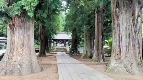河口浅間神社(山梨県)