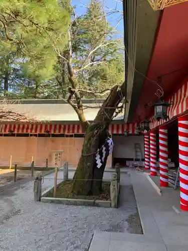 笠間稲荷神社の庭園