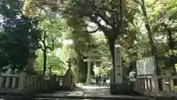 赤坂氷川神社の{uncategorized: "未分類", other: "その他", undefined: "問題あり", building: "その他建物", grave: "お墓", sacred_gate: "鳥居", guardian: "狛犬", statue: "像", buddha: "仏像", history: "歴史", nature: "自然", garden: "庭園", animal: "動物", pagoda: "塔", temizu: "手水舎", mountain_gate: "山門・神門", sanctuary: "本殿・本堂", subordinate: "末社・摂社", art: "芸術", scenery: "景色", jizo: "地蔵", ema: "絵馬", goshuin: "御朱印", omikuji: "おみくじ", items: "授与品その他", amulet: "お守り", goshuincho: "御朱印帳", eats: "食事", festival: "お祭り", votive_dance: "神楽", shichigosan: "七五三参", wedding: "結婚式", experience: "体験その他", initially: "初詣", around: "周辺", anti_infection: "感染症対策"}