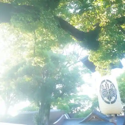 尾張大國霊神社（国府宮）の自然