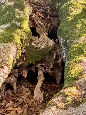 尾鷲神社(三重県)