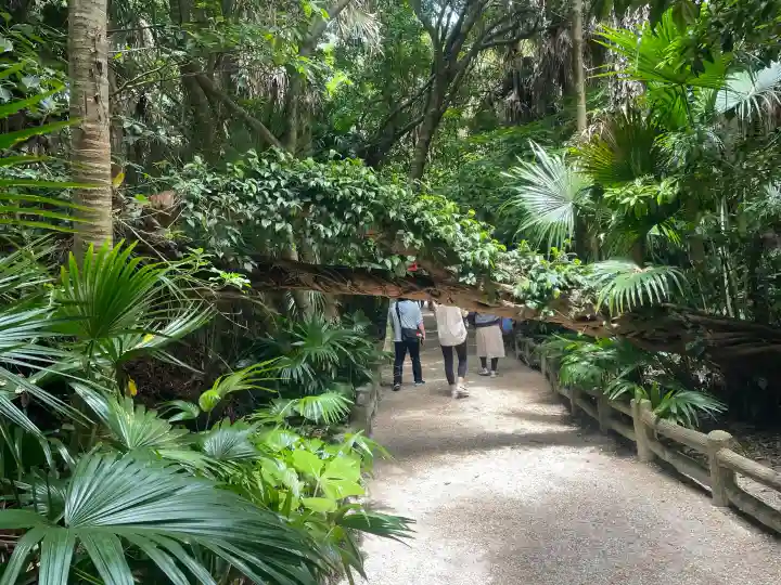 青島神社(青島神宮)の{uncategorized: "未分類", other: "その他", undefined: "問題あり", building: "その他建物", grave: "お墓", sacred_gate: "鳥居", guardian: "狛犬", statue: "像", buddha: "仏像", history: "歴史", nature: "自然", garden: "庭園", animal: "動物", pagoda: "塔", temizu: "手水舎", mountain_gate: "山門・神門", sanctuary: "本殿・本堂", subordinate: "末社・摂社", art: "芸術", scenery: "景色", jizo: "地蔵", ema: "絵馬", goshuin: "御朱印", omikuji: "おみくじ", items: "授与品その他", amulet: "お守り", goshuincho: "御朱印帳", eats: "食事", festival: "お祭り", votive_dance: "神楽", shichigosan: "七五三参", wedding: "結婚式", experience: "体験その他", initially: "初詣", around: "周辺", anti_infection: "感染症対策"}