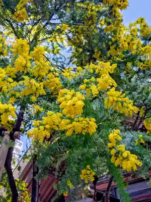 蔵前神社(東京都)