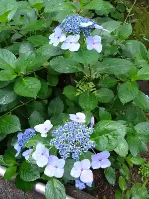 宝満宮竈門神社(福岡県)