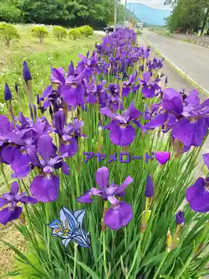 高司神社〜むすびの神の鎮まる社〜(福島県)
