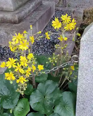 沙沙貴神社(滋賀県)