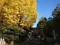 多奈波太神社の自然