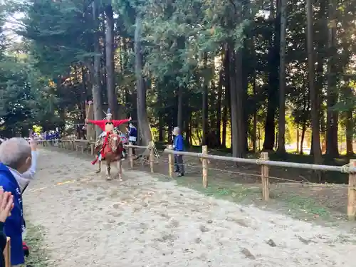 出雲伊波比神社(埼玉県)