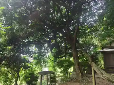 腰神神社(大阪府)