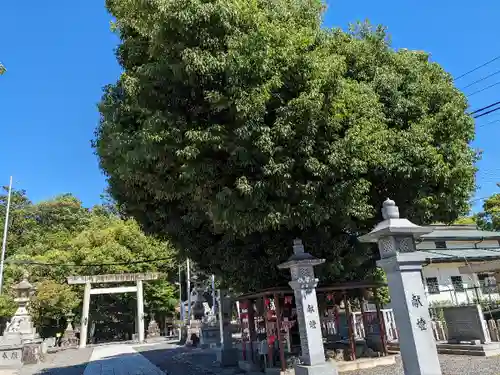 白山神社（二子町）の自然