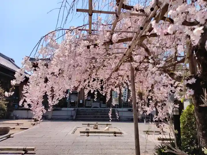 後白河院御聖蹟 法住寺の自然