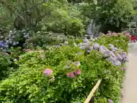 観音寺(京都府)