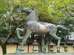 金刀比羅宮の狛犬
