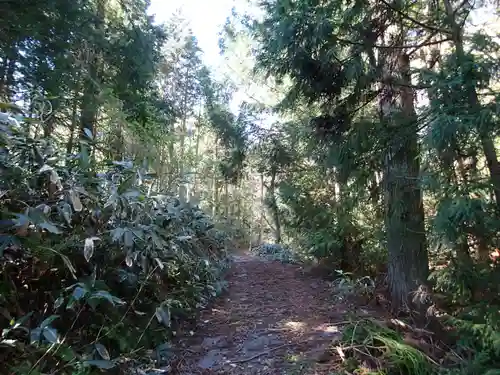 磐船神社の自然