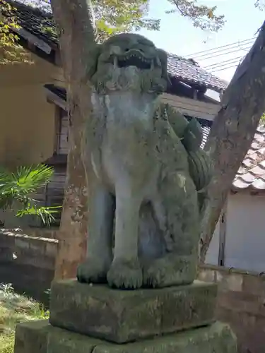 古江神社の狛犬