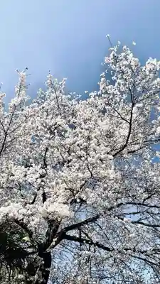 浄居寺(山梨県)