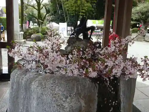 出雲大社相模分祠の手水舎