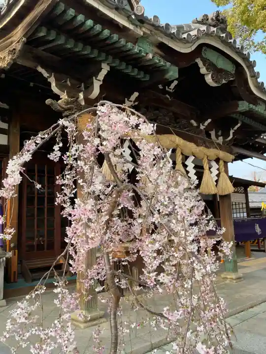 百舌鳥八幡宮の{uncategorized: "未分類", other: "その他", undefined: "問題あり", building: "その他建物", grave: "お墓", sacred_gate: "鳥居", guardian: "狛犬", statue: "像", buddha: "仏像", history: "歴史", nature: "自然", garden: "庭園", animal: "動物", pagoda: "塔", temizu: "手水舎", mountain_gate: "山門・神門", sanctuary: "本殿・本堂", subordinate: "末社・摂社", art: "芸術", scenery: "景色", jizo: "地蔵", ema: "絵馬", goshuin: "御朱印", omikuji: "おみくじ", items: "授与品その他", amulet: "お守り", goshuincho: "御朱印帳", eats: "食事", festival: "お祭り", votive_dance: "神楽", shichigosan: "七五三参", wedding: "結婚式", experience: "体験その他", initially: "初詣", around: "周辺", anti_infection: "感染症対策"}