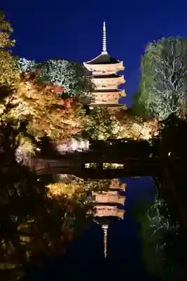 東寺（教王護国寺）(京都府)