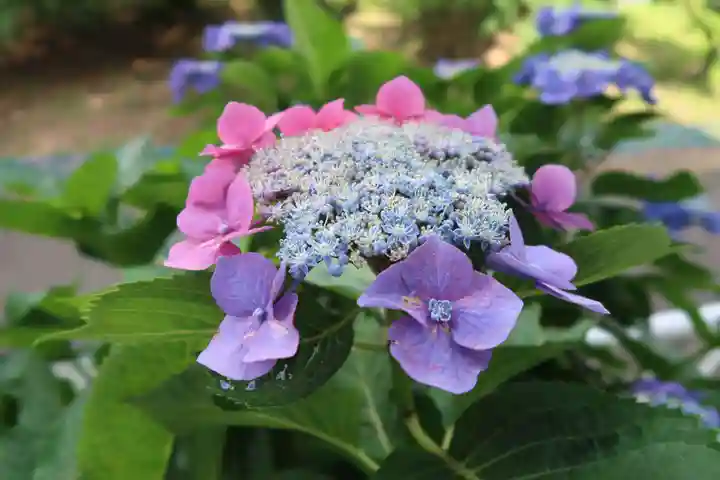 性海寺(愛知県)