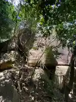 越木岩神社の自然