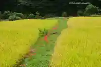 日向神社(神奈川県)