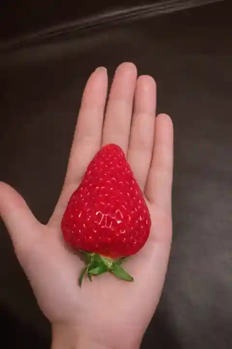 大御和神社の{uncategorized: "未分類", other: "その他", undefined: "問題あり", building: "その他建物", grave: "お墓", sacred_gate: "鳥居", guardian: "狛犬", statue: "像", buddha: "仏像", history: "歴史", nature: "自然", garden: "庭園", animal: "動物", pagoda: "塔", temizu: "手水舎", mountain_gate: "山門・神門", sanctuary: "本殿・本堂", subordinate: "末社・摂社", art: "芸術", scenery: "景色", jizo: "地蔵", ema: "絵馬", goshuin: "御朱印", omikuji: "おみくじ", items: "授与品その他", amulet: "お守り", goshuincho: "御朱印帳", eats: "食事", festival: "お祭り", votive_dance: "神楽", shichigosan: "七五三参", wedding: "結婚式", experience: "体験その他", initially: "初詣", around: "周辺", anti_infection: "感染症対策"}