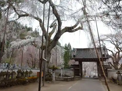 清雲寺の山門