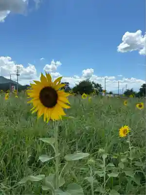 安久津八幡神社(山形県)
