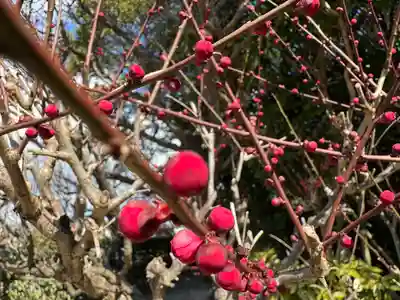 結城神社(三重県)