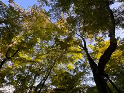 光明寺（粟生光明寺）(京都府)