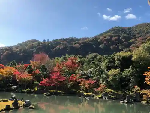 天龍寺の庭園