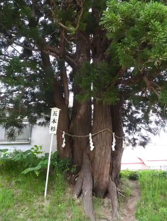 岩木山神社(青森県)