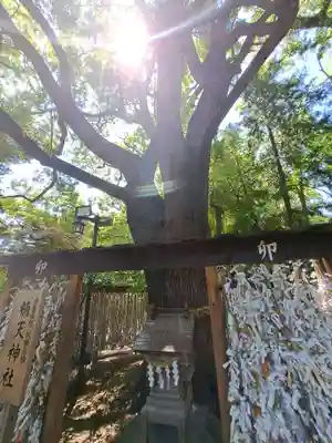 平塚八幡宮(神奈川県)