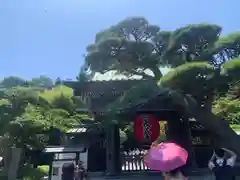 長谷寺(神奈川県)