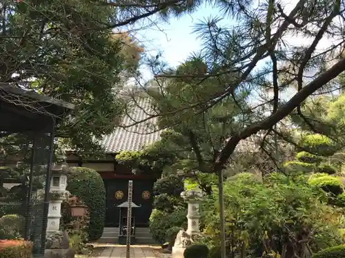 円福寺の本殿・本堂