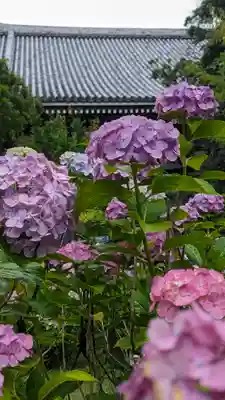  智積院(京都府)