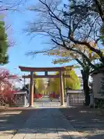 須賀神社の鳥居