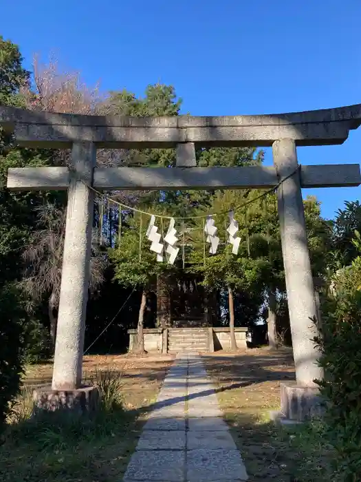 金比羅宮の鳥居