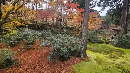 三千院門跡(京都府)