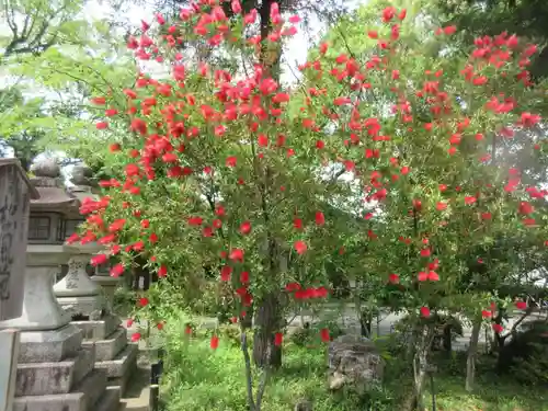 松尾大社(京都府)