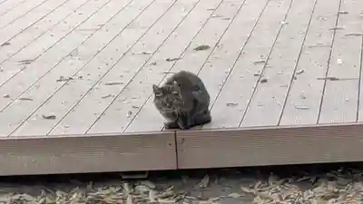 村雲御所瑞龍寺門跡(滋賀県)