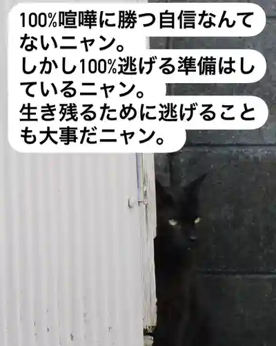 専念寺(大阪府)