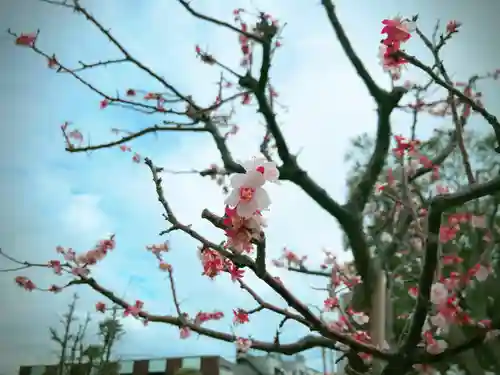 上野東照宮の庭園