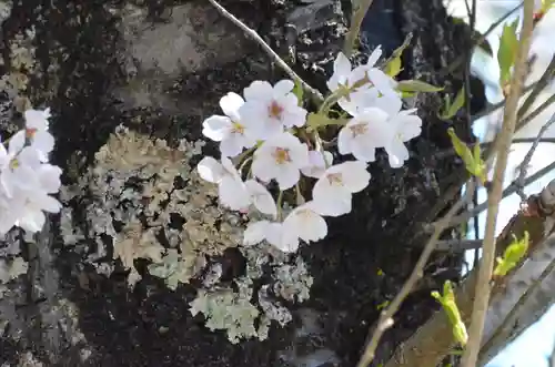 東円寺(山梨県)