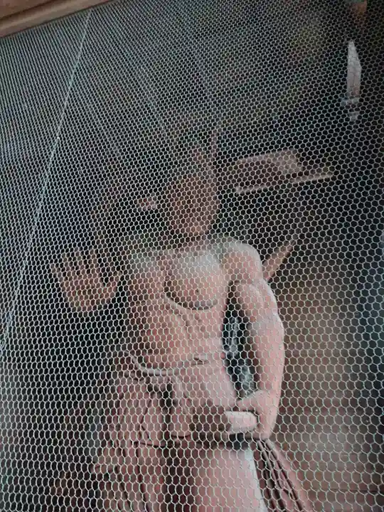 寳光寺 鹿野大佛の仏像