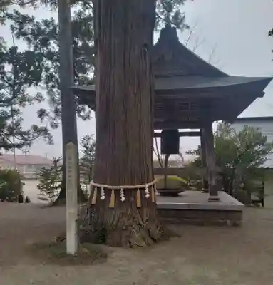 宇那禰神社(宮城県)